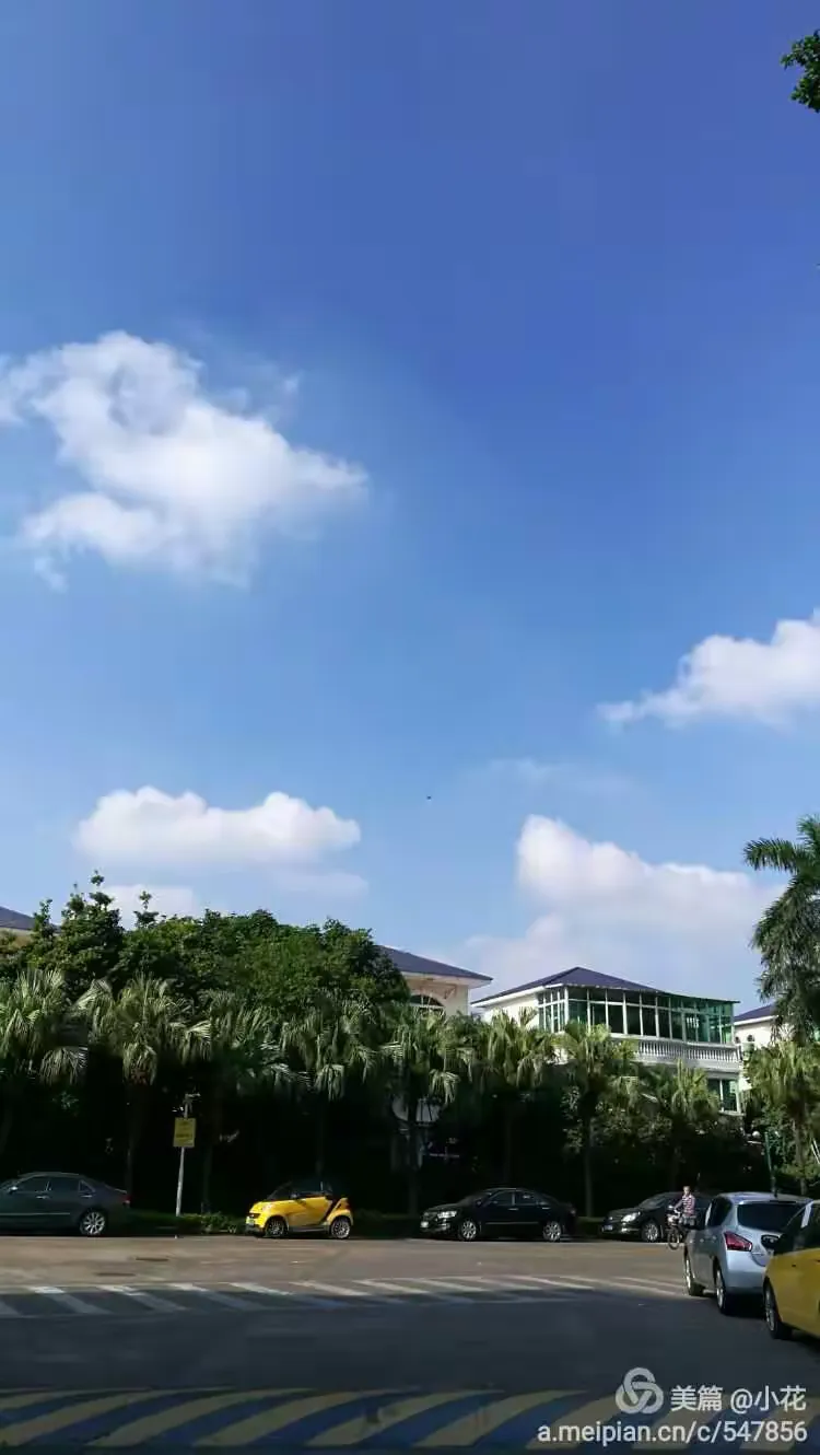 清晨深圳男篮备战社区盾，队长鼓劲细节曝光，压力陡增，心理建设被强调 