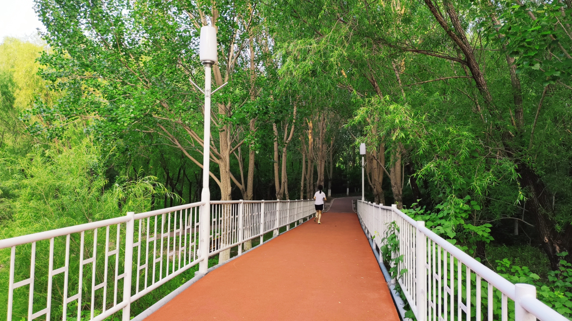 马赛训练开放日，赛后遗憾出局引欢呼，社区盾在即，更衣室氛围转暖 