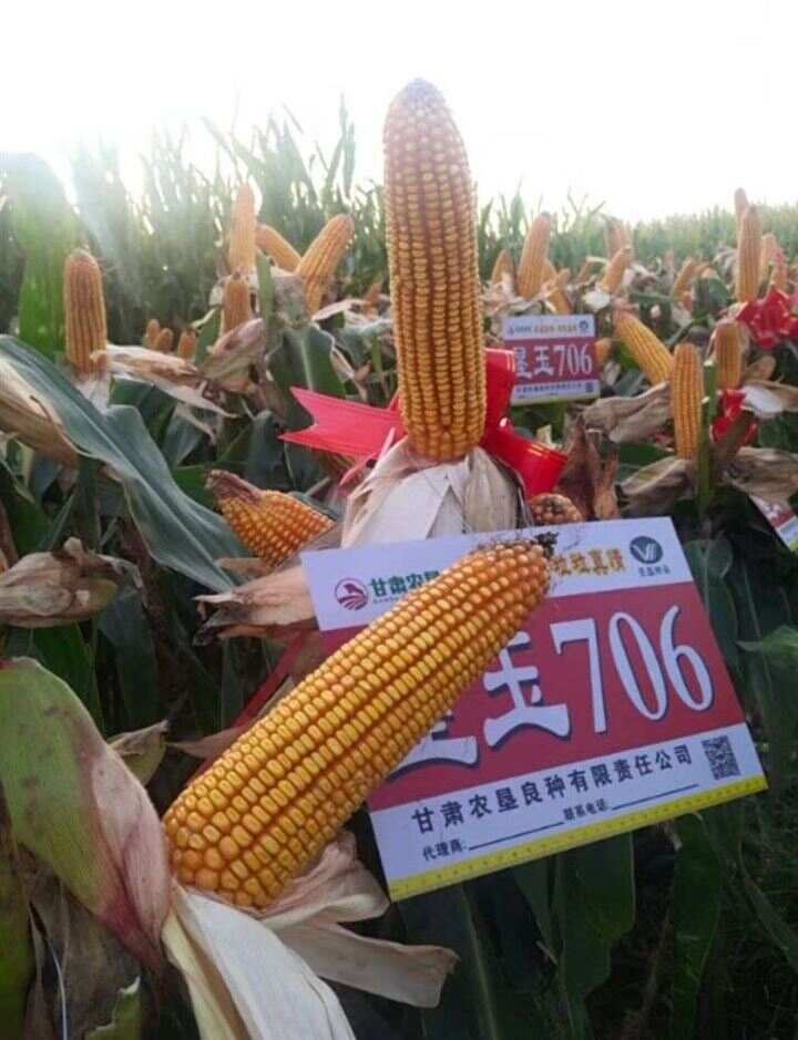 墾;?}夛(垦是啥意思) 墾;?}夛(垦是啥意思)