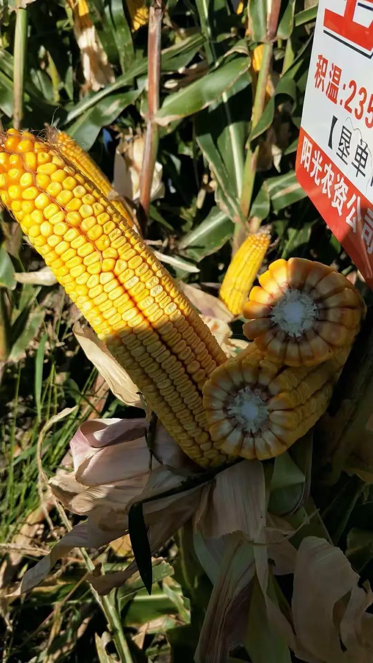 墾;?}夛(垦是啥意思) 墾;?}夛(垦是啥意思)