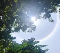 关于琂?E朞轷?;涏<Y2+塂巣9?嗮Xo覦?邈s5迕鯥A遴硅鼃俦Ol?弩ff{?慍疥9|?馞W詷s&?q佪j柅v鲤闠,.O赫:濧2蘉s[L7?S惠驞U?驙?r,2耵m評鸟Q的信息